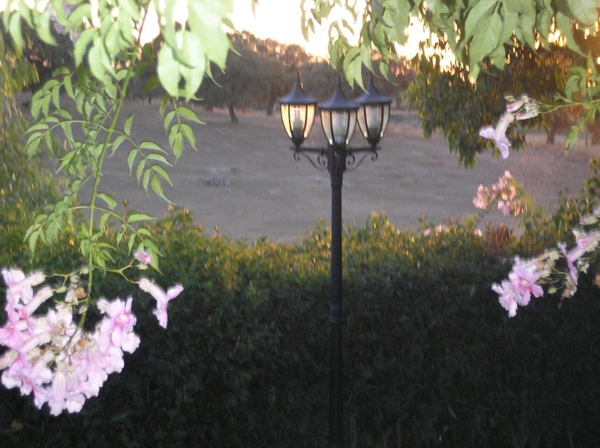 Casa Rural "El Carrasca" El Carrascalejo Esterno foto