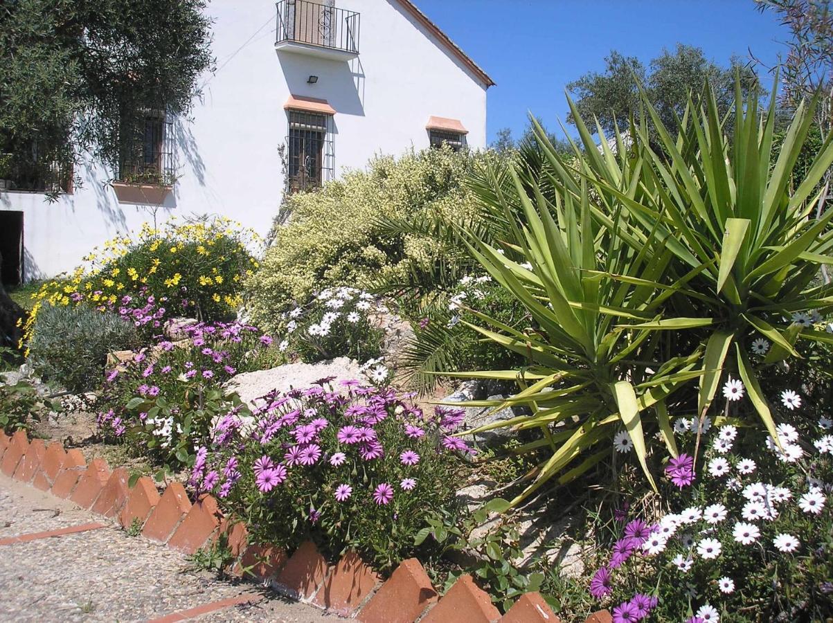 Casa Rural "El Carrasca" El Carrascalejo Esterno foto