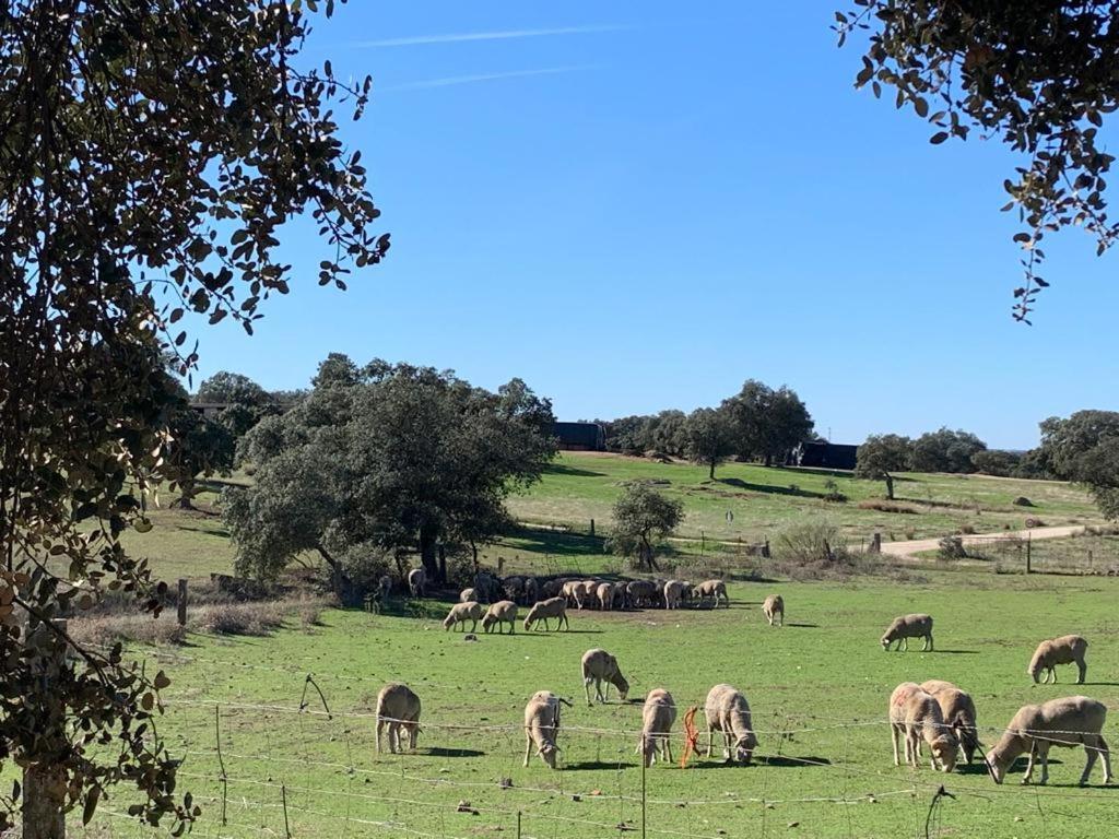 Casa Rural "El Carrasca" El Carrascalejo Esterno foto