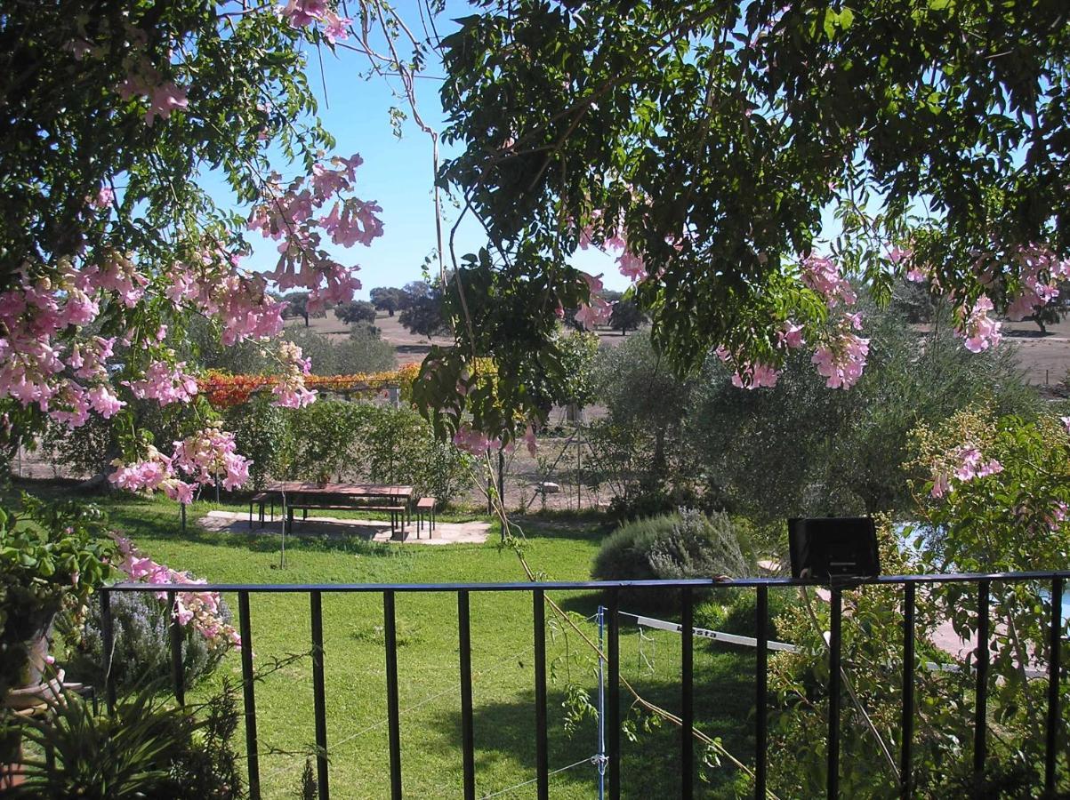 Casa Rural "El Carrasca" El Carrascalejo Esterno foto